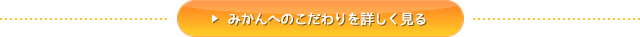 みかんへのこだわりを詳しく見る